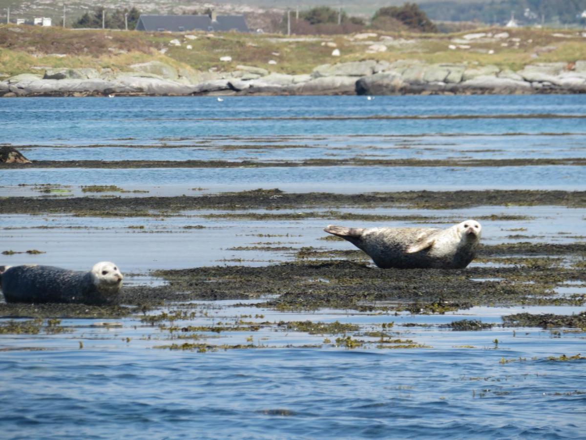 Sea Breeze Cottage Dungloe Luaran gambar